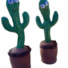 CACTUS BAILARIN BZR