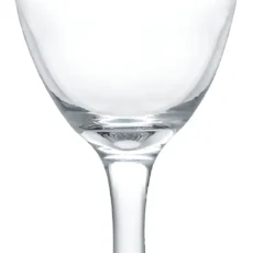 COPA DE AGUA 300ML ARAGON BZR